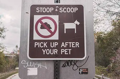 Pick up their poop and dispose of it properly