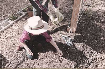 Plant a garden together