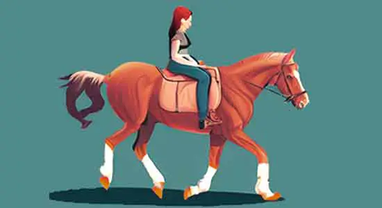 Guide to Horseback Riding
