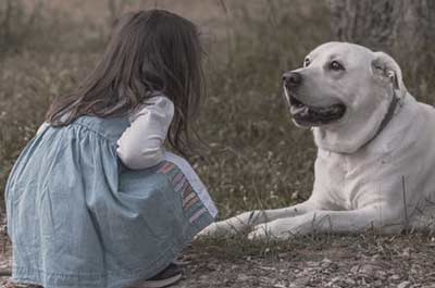 dog and girl