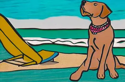 Beach Vacation with your Dog